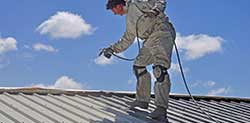 Edge Pro Safety for painters on roof